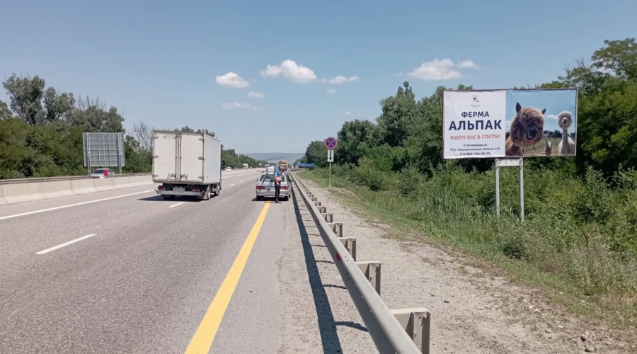Реклама для фермы альпак в Ставрополе